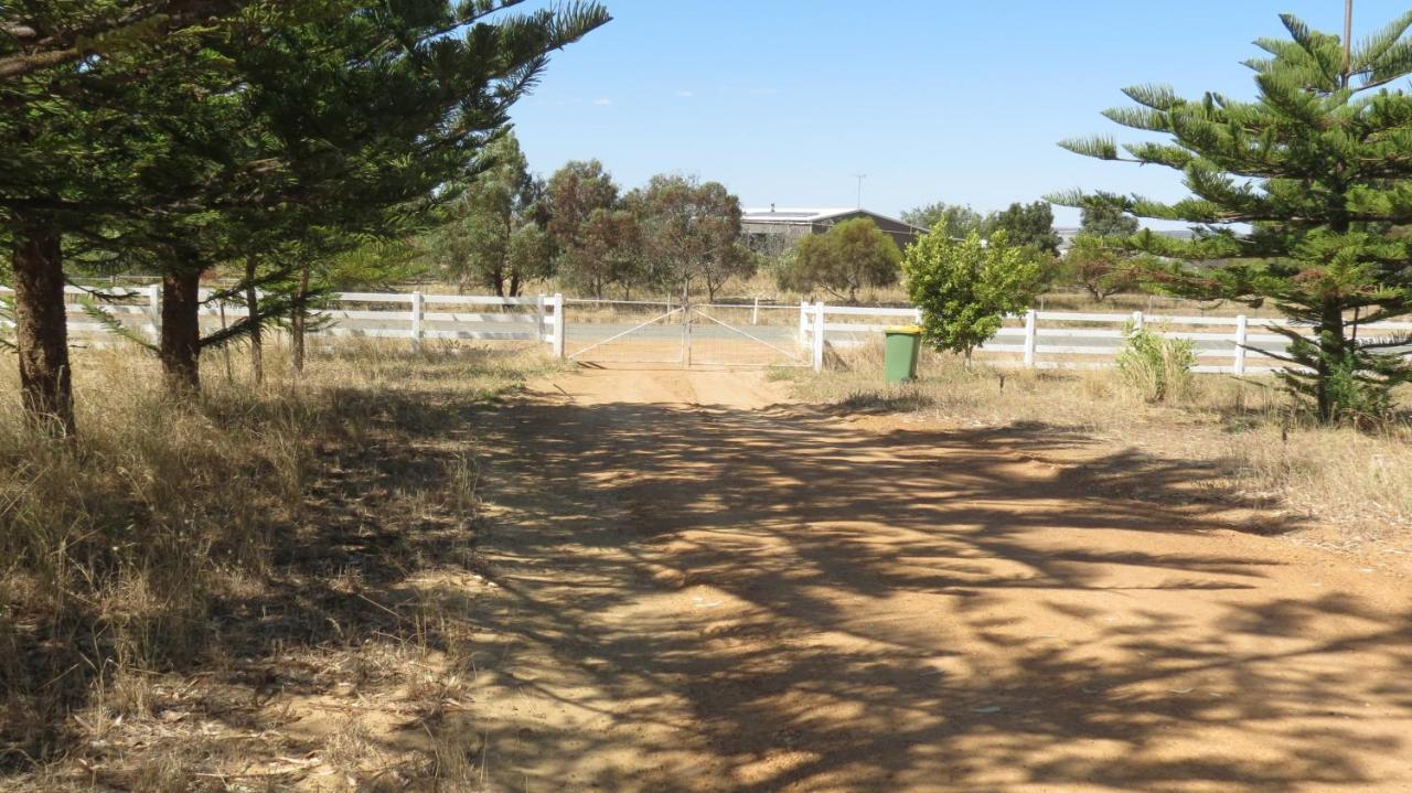 Turquoise Coast Lodge Jurien Bay Exterior foto